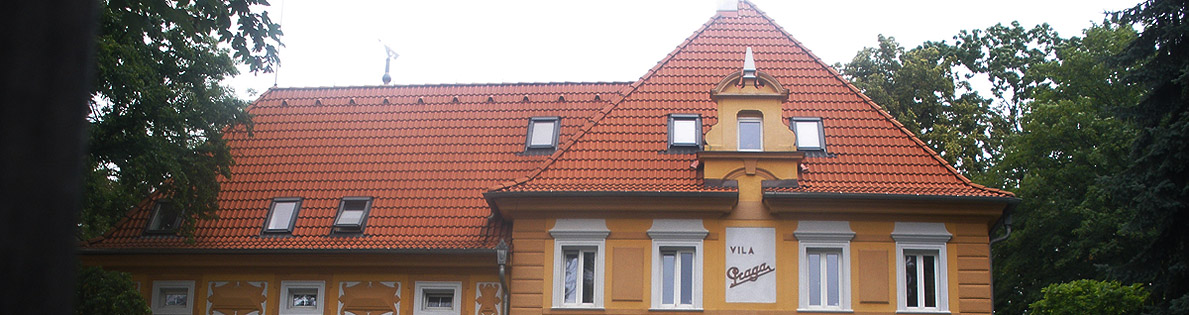 Střechy Doubek - pokrývačské, tesařské a klempířské práce, střešní okna, ploché střechy - Slaný, Kladno, Rakovník, Louny, Praha